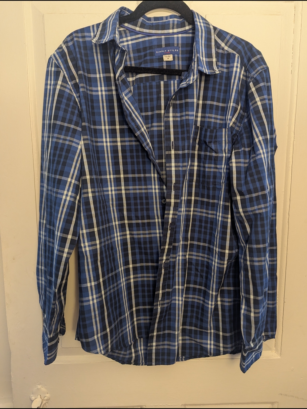 Simply Styled Blue and White Plaid Button-Down Shirt